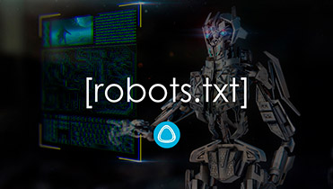 Настройка robots.txt